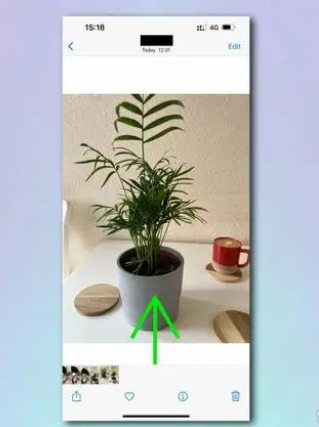 如何使用 iPhone 相机识别植物和花卉?